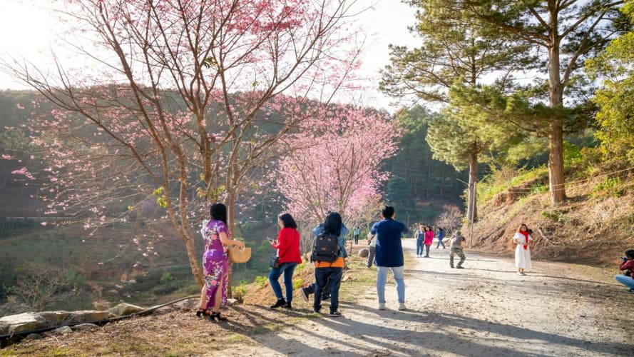 Kuva - Évasion japonaise en famille - 16J/13N