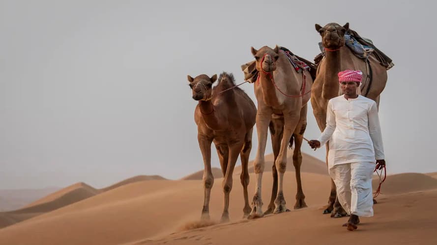 Image - Oman Triangle