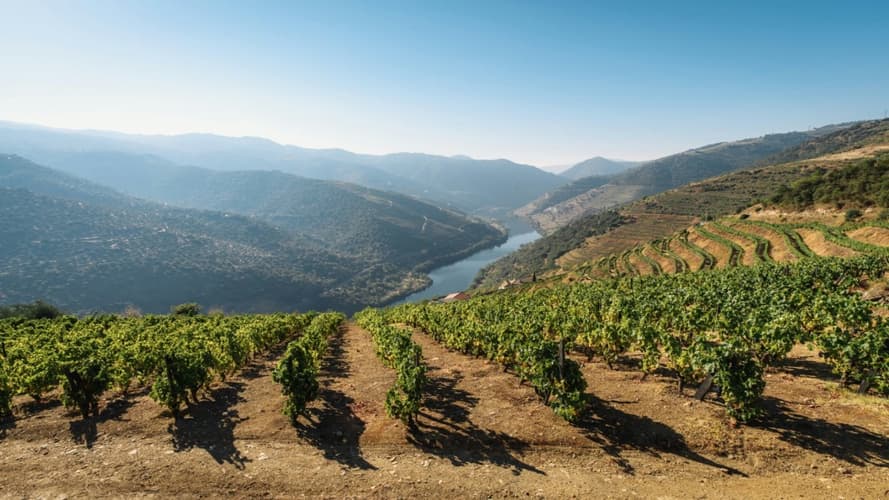 صورة - Charming Douro Valley (4 days program)
