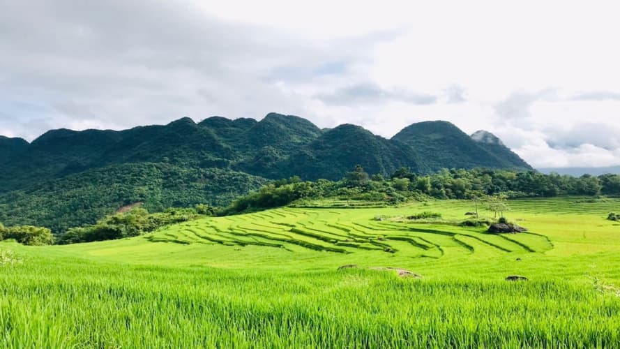 Podoba - Horizons du Vietnam Balneaire