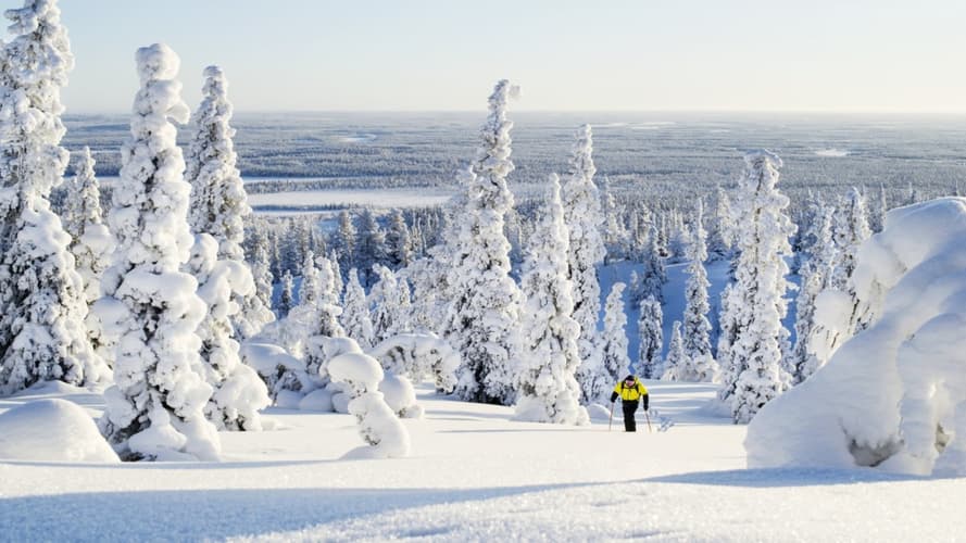 Image - Multiactivités Suomu CHALETS 8J/7N