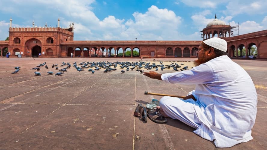 Imatge - India Clásica Pvt Verano 2026