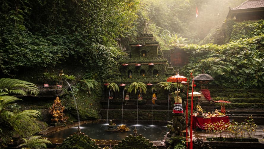 Kuva - Spiritual Awakening in Bali – Purification, Temple & Palm Reading Experience