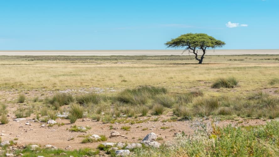 Image - Trésors d’Afrique Australe – 16J/13N