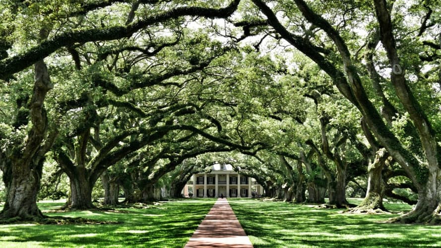 Image - The Great American South