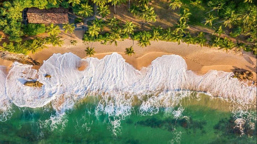 Изображение - Entre immersion et authenticité au Sri Lanka
