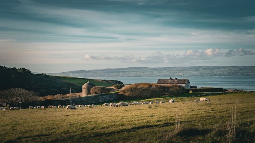 Beeld - Départs Garantis - Irlande, le Grand Tour