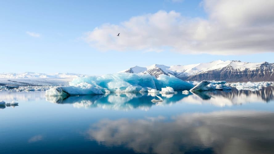 Bild - Highlights of Iceland - Expedition cruise