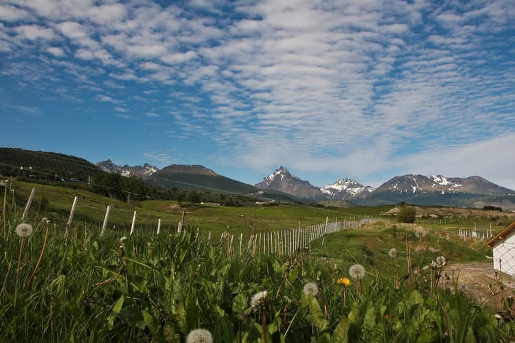 Imagen - Patagonia Austral