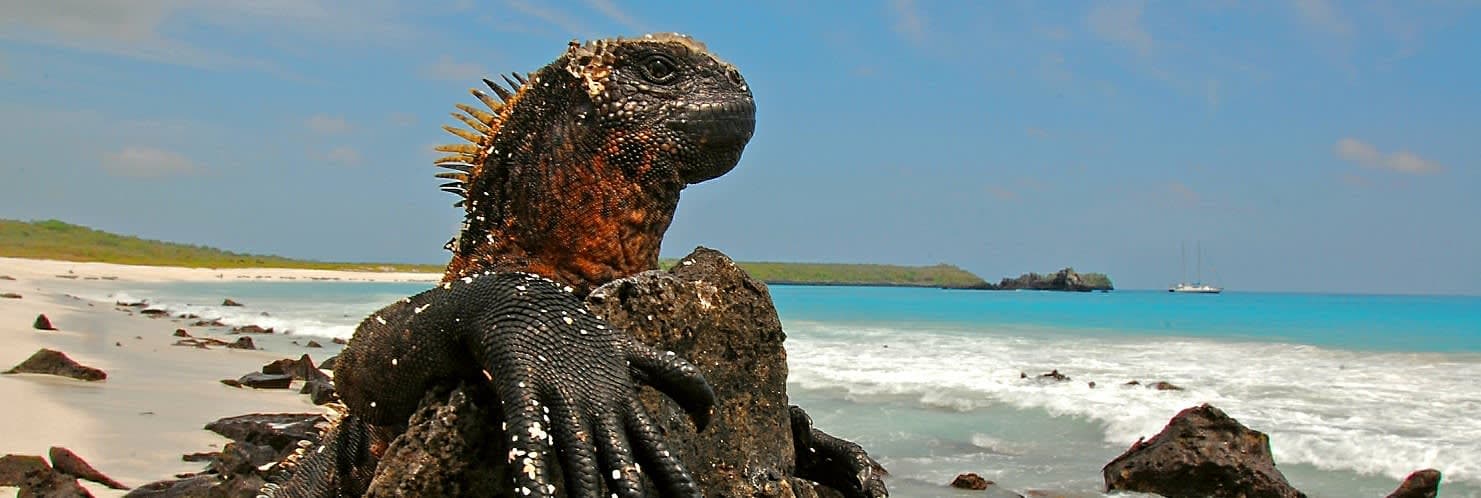 Imagen - Ecuador Inolvidable con Galápagos