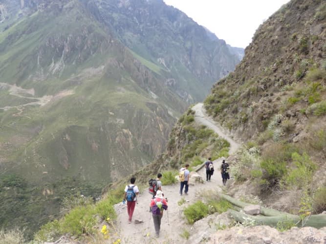 Image - Trekking por el Cañon del Colca (acaba en Puno)