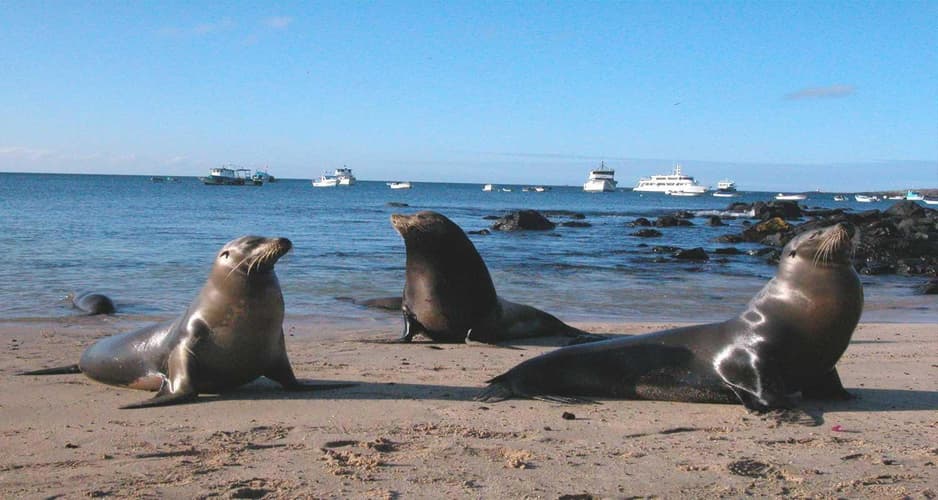 Image - Descubra Galápagos