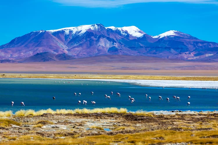 Imagen - San Pedro de Atacama Elemental