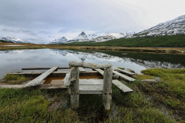 Imagen - Clasica Top Patagonia