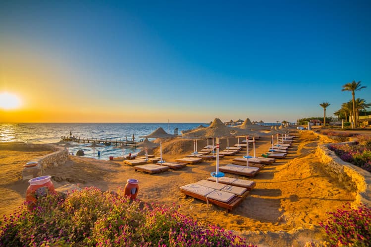 Imagem - 250274 - Egito | Sharm El Sheikh | 2026 | Voos do Porto