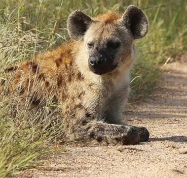 Bild - OVERNIGHT: 2 DAYS/1	NIGHT (OPEN VEHICLE)	