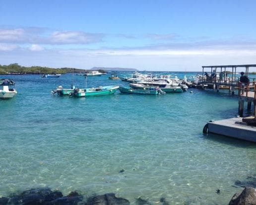 Imagen - GALAPAGOS BASICO ISLA ISABELA (3 DIAS) 2026