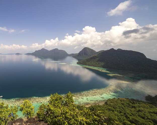 Imagen - Borneo Salvaje ¡Naturaleza en Estado Puro!