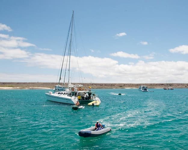 Bild - Discover Galapagos: Santa Cruz & San Cristobal in 4 Days