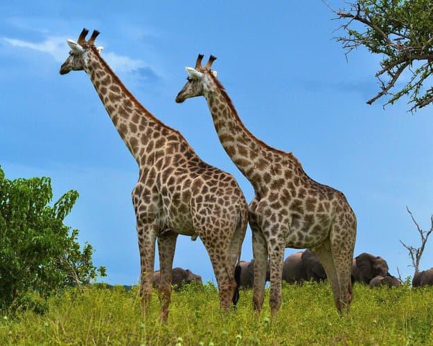 Obraz - Südafrika, Botswana & Victoria Wasserfälle 