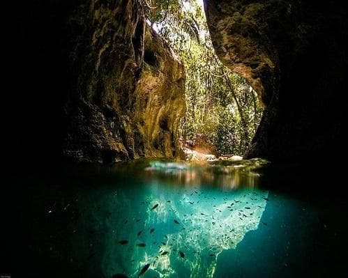 Imagen - San Ignacio  & Cayo San Pedro