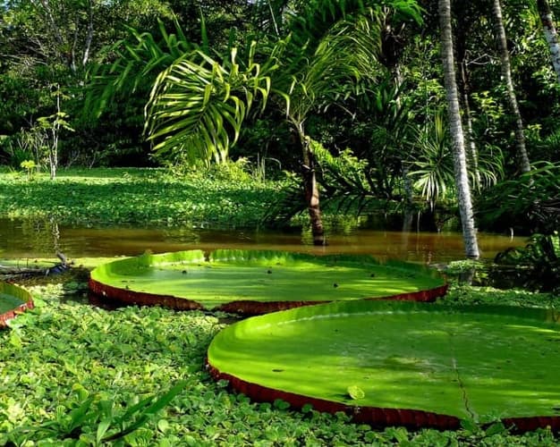 Slika - Eco Adventure 4D / 3N