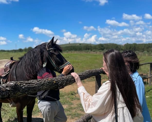 Image - Horseback Ride at Hani i Qerosit with Pickup from Berat