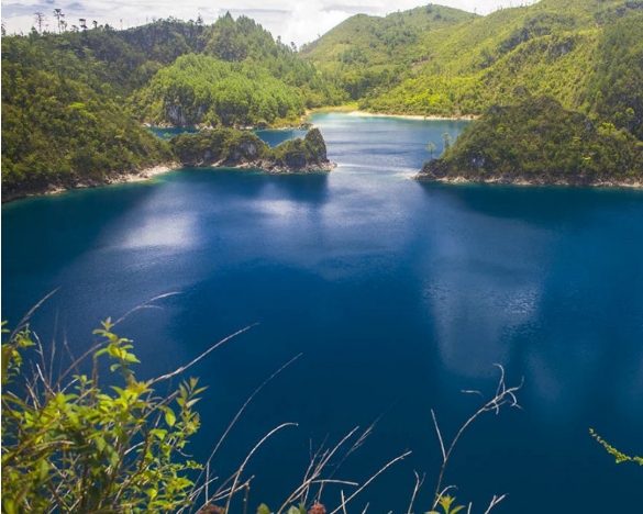 Imagen - Chiapas Clásico 5 días + Vuelo redondo ✈️​