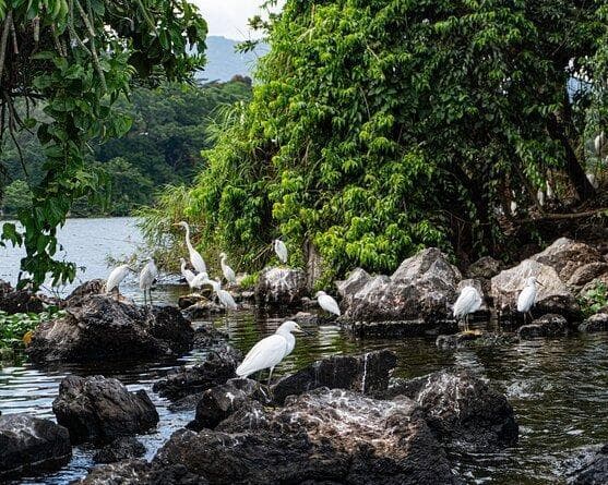 Image - ESCAPADA EXPRESS A VERACRUZ +TOUR LA MAGICA EXPERIENCIA DE CATEMACO Y LOS TUXTLAS 