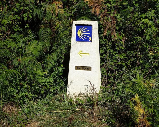 Immagine - Cammino di Santiago - It. Francese: da O' Cebreiro a Santiago 