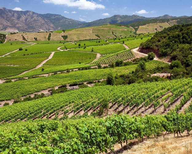 Imagen - Un Recorrido por los Valles Chilenos