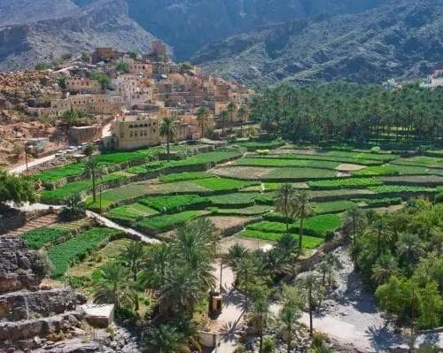 Образ - Springs & Stone Paths: A Journey Through Nakhal & Bald Sayt