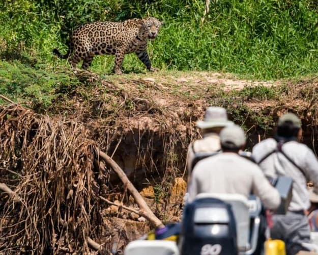 Образ - Pantanal River Cruise | 6 Days and 5 Nights
