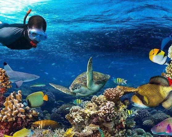 Imagem -  PAQUETE COMBINADO UVAC - 6 DÍAS VIVIENDO CANCÚN | 2 TOURS + HOTEL MARGARITAVILLE