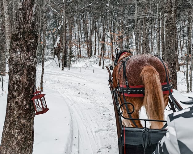 Image - Footprints & Sleigh Bells – A Private Swiss Winter Escape | 3 Nights
