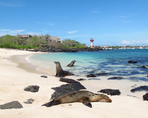 Image - Galapagos a tu Alcance