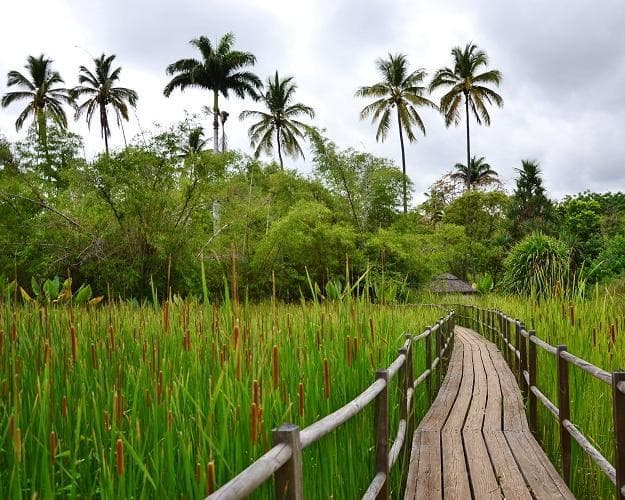 Obraz - Selbstfahrer-Rundreise "Le petite tour de l'ile"