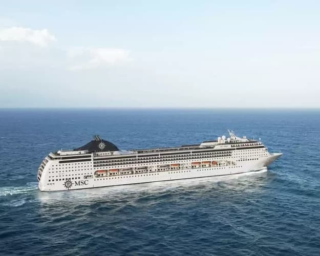 Imagen - MSC-Magnifico Caribe (sin visa)