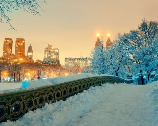 Image - Navidad 2026 en New York