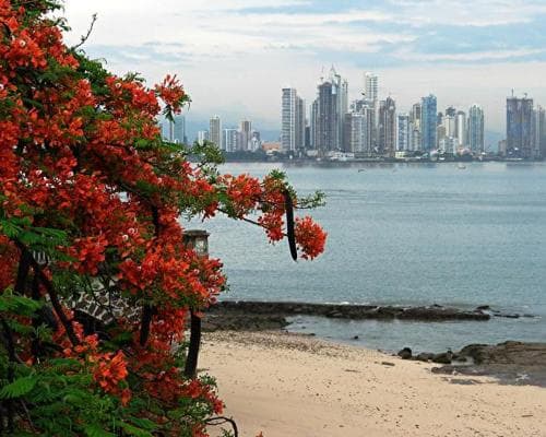 Image - Rundreise "Stadt Land Strand"