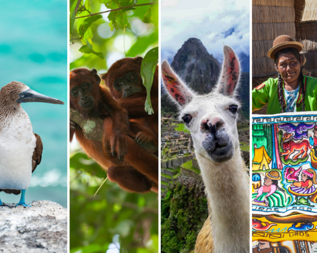 Resim - Ecuador, Peru y Bolivia: The Great South American Route 22 Days / 21 Nights