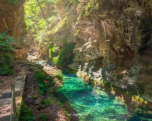 Imagen -  La Macarena - Temporada Seca