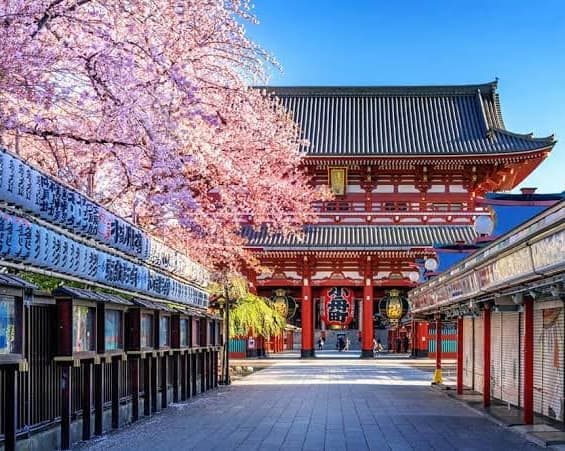 Imagen - TENTACIONES DE JAPÓN CON SEÚL 2027-2028
