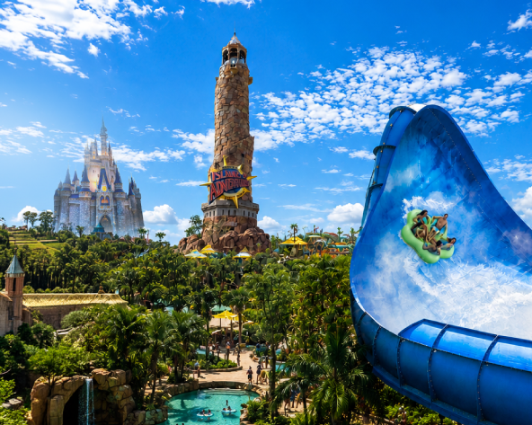 Imagem - MTPE-42032 FLORIDA MAGIC 2