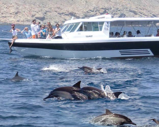 Image - Dolphin Watching Cruise