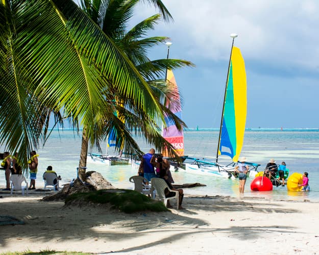 Imatge - The Sea of 7 Colors