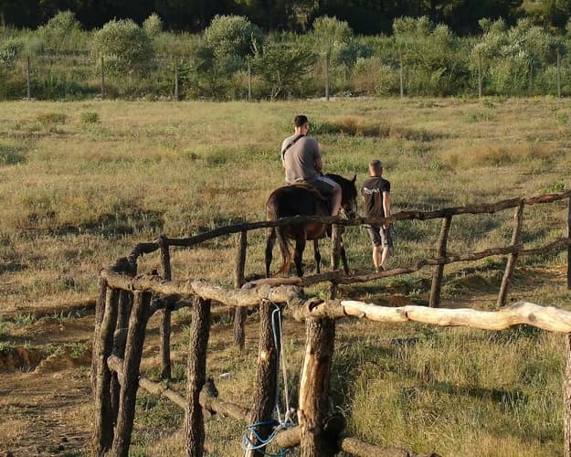 Image - Horseriding in Berat