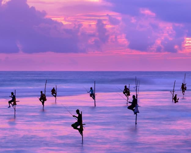 Immagine - EXPLORE SRI LANKA, Antichi Regni e Natura Magica