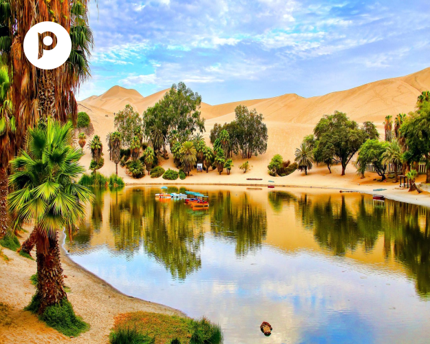 Imagem - Full Day Ballestas Islands, Ica, Huacachina desde Lima