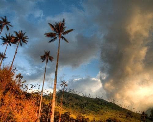 Image - Rundreise "Facettenreiches Kolumbien" & Baden in Santa Marta
